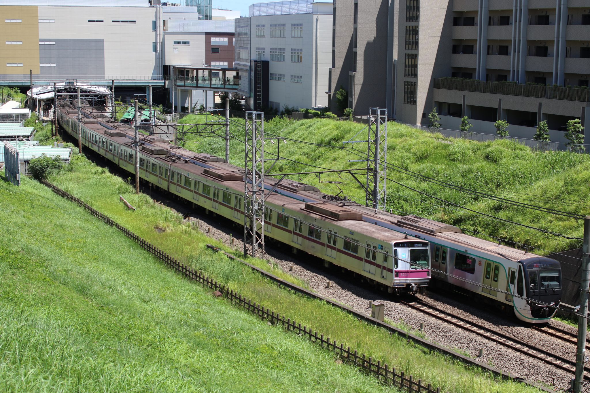 高台から２両の電車がすれ違う様子